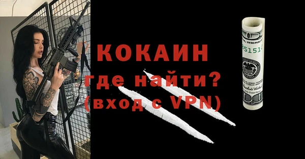индика Абинск