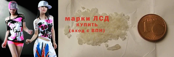 индика Абинск