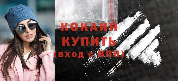 индика Абинск