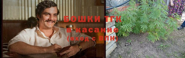 mdpv Вяземский