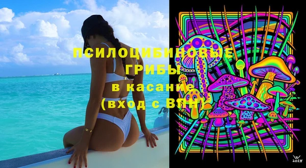 соль ск Алексеевка