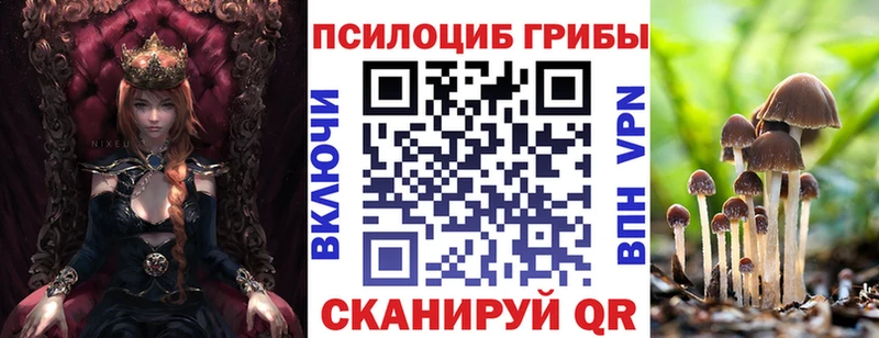 Псилоцибиновые грибы Psilocybine cubensis  Фёдоровский 
